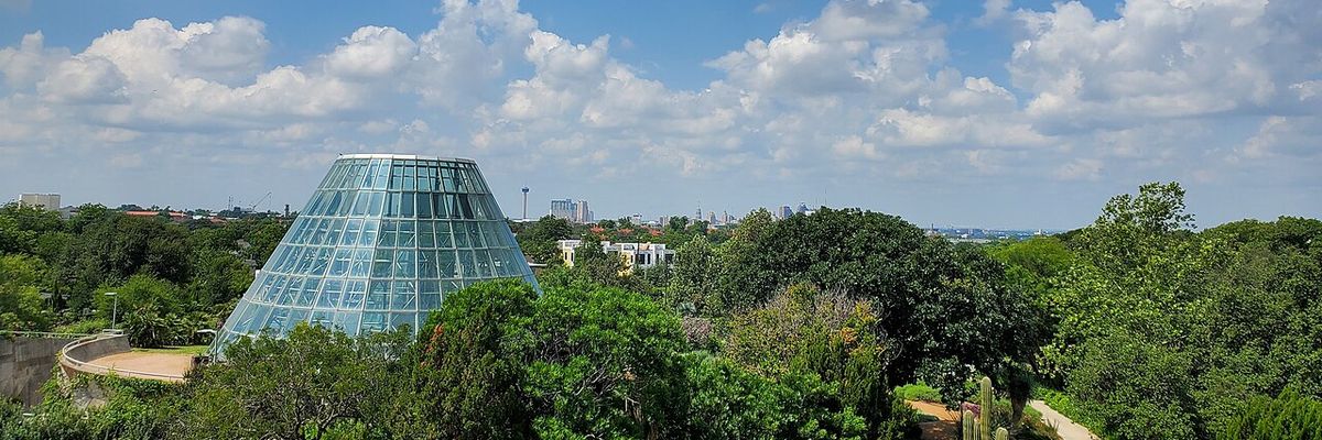 San Antonio, TX skyline — local weather forecast and conditions