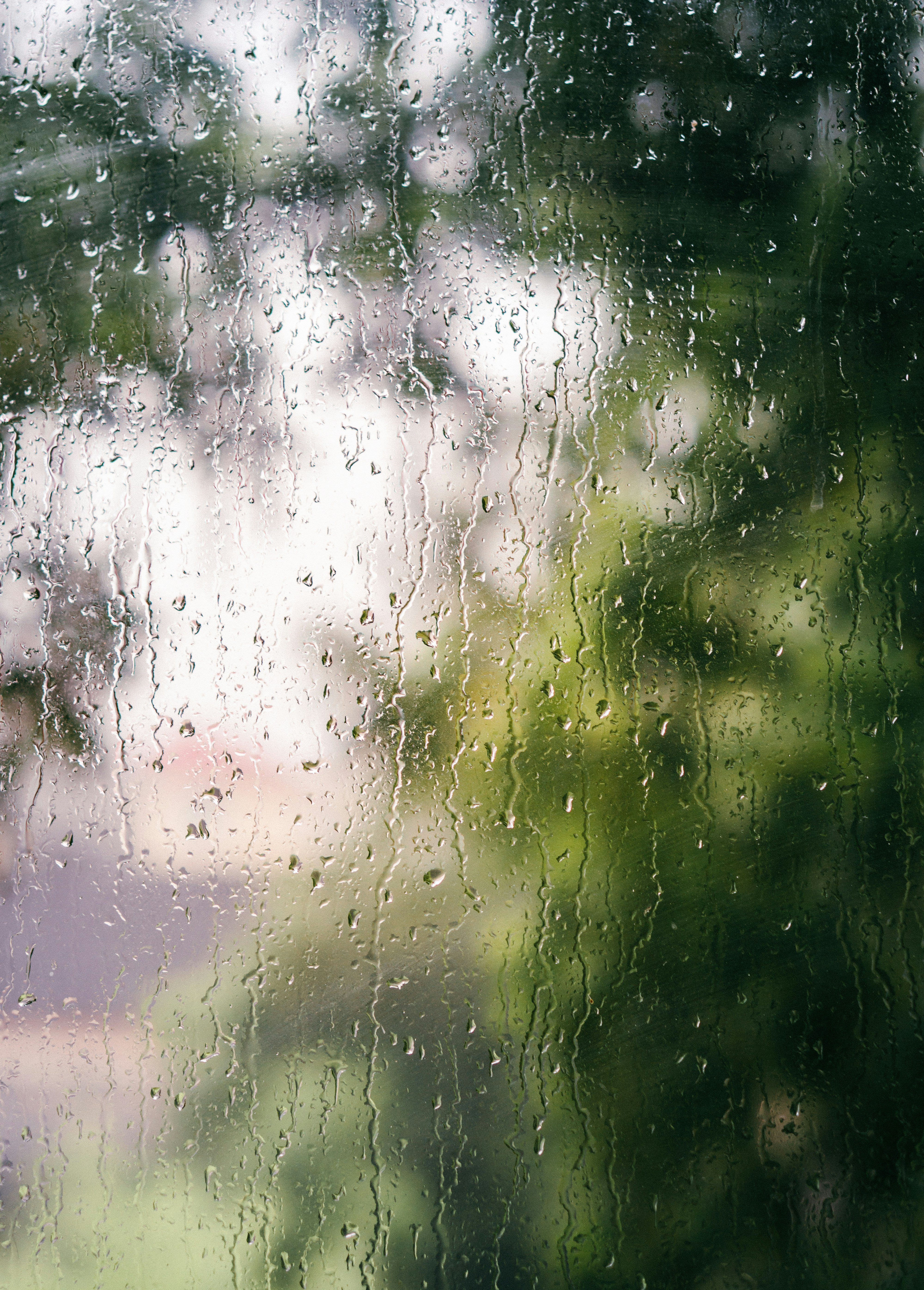 Weather Window